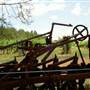 Craigmoor Winery
