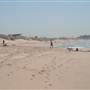 Cronulla Beach