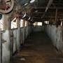 Crookwell Shearing Station