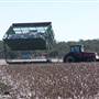 Crops/Farms - Central West