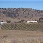 Crops/Farms - Central West