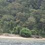Currawong Beach Cottages