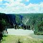 Dorrigo National Park