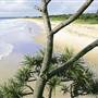 Northern Rivers Region
