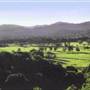 Northern Rivers Region