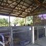 Calmsley Hill City Farm