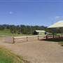 Calmsley Hill City Farm
