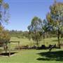 Calmsley Hill City Farm