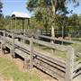 Calmsley Hill City Farm