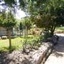 Calmsley Hill City Farm