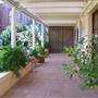 Private House - Neutral Bay