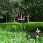 Falls Forest Retreat