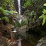Falls Forest Retreat