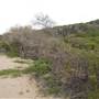 Point Stephens/Fingal Island / Fingal Point /Tomaree National Park