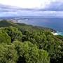 Forster and surrounds