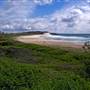 Forster and surrounds