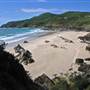 Forster and surrounds