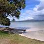 Forster and surrounds