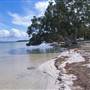Forster and surrounds