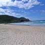 Forster and surrounds