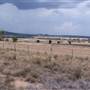 Gilgandra Rural Area