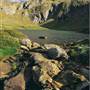 Glacial Lakes - Kosciuszko National Park