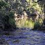 Green Patch Campground - Booderee National Park