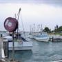 Greenwell Point