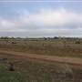 Hay Plains