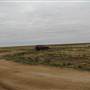 Hay Plains