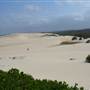 Killick Beach & Sand Dunes - Hat Head National Park