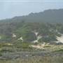 Killick Beach & Sand Dunes - Hat Head National Park