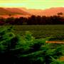 Hunter Region