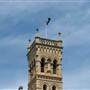 ICMS - International College of Management, Sydney