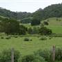 Jamberoo Browns Lane
