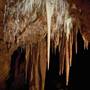 Jenolan Caves