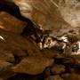 Jenolan Caves