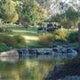 Japanese Gardens Cowra