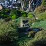 Japanese Gardens Cowra