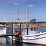 Jerseyville