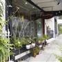 Jersey Road - Woollahra