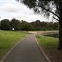 King George Park and Rozelle Foreshore