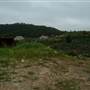 Kimbriki Resource Recovery Centre