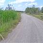 Kooragang Wetlands - Hunter Wetlands National Park