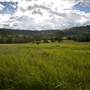 Kyogle