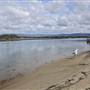 Lake Illawarra & Windang