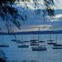 Lake Macquarie