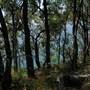 Lake Macquarie