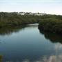 Lane Cove River