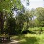 Lane Cove National Park